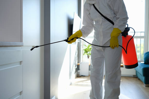 Best Mold Testing  in Grabill, IN