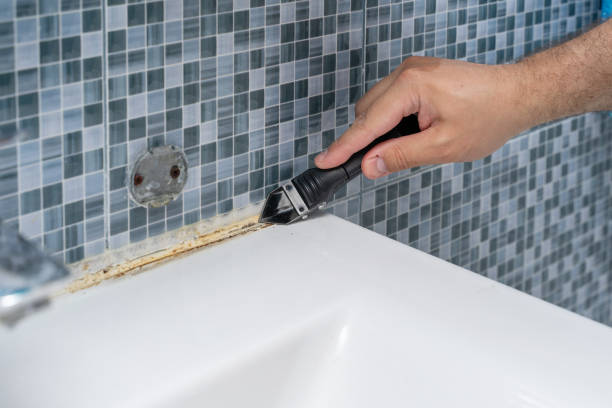 Best Mold Cleaning Services  in Grabill, IN