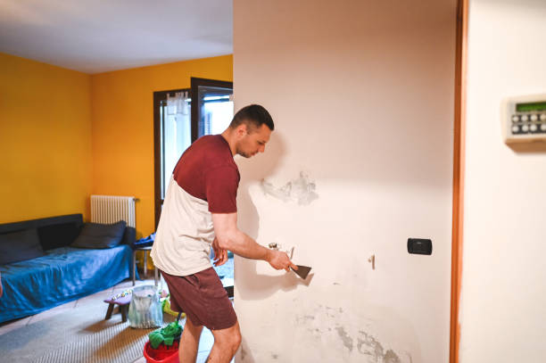 Best Best Mold Removal Companies  in Grabill, IN